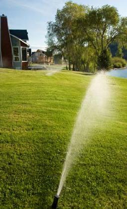 testing sprinklers mid day in Carlsbad, California